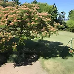 Nyaraló De L'albizia