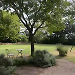 De L'albizia