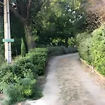 De L'albizia Villasavary