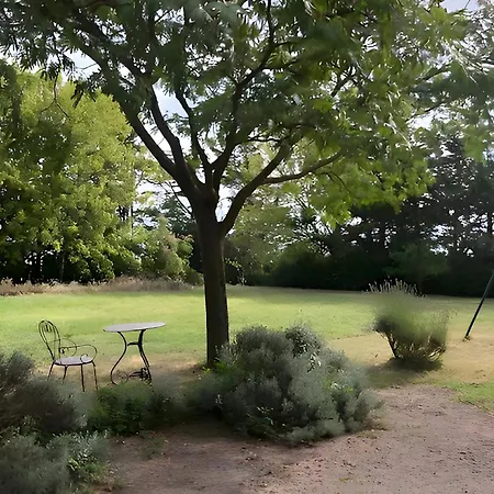 De L'albizia