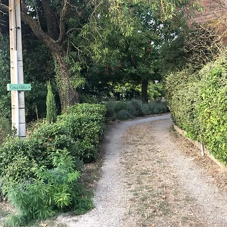 De L'albizia Nyaraló *