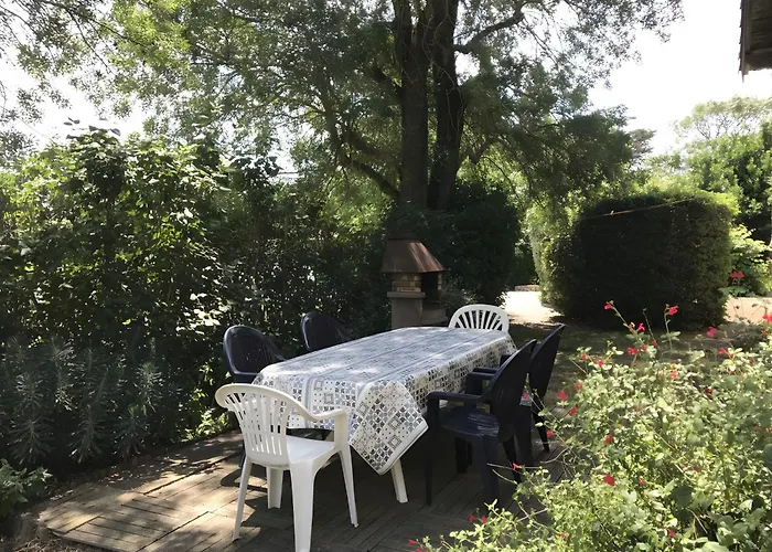 De L'albizia *
