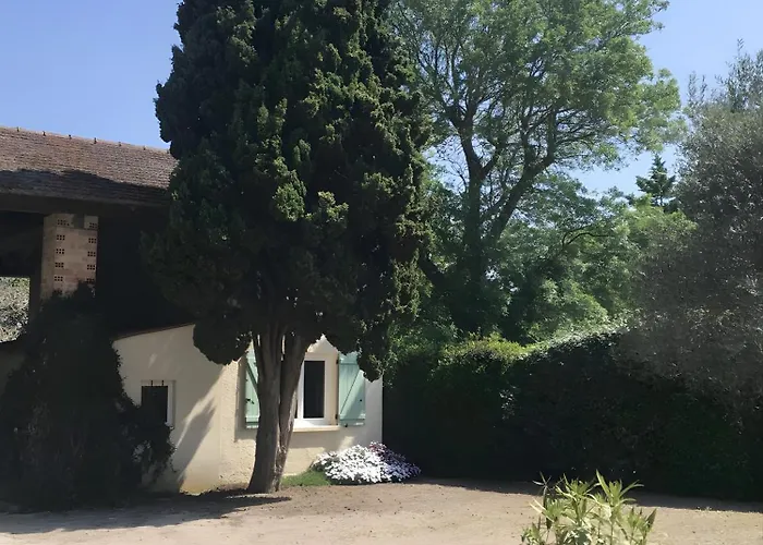 De L'albizia